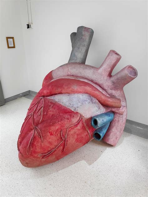 This giant heart sculpture at my local hospital (London, UK) with photo frame for size reference ...