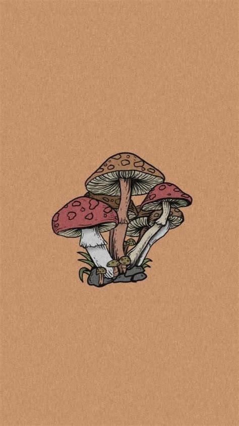 100 Mushroom Aesthetic Backgrounds