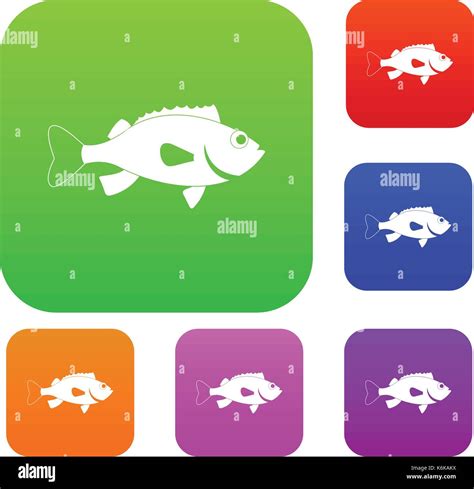 Sea bass fish set color collection Stock Vector Image & Art - Alamy