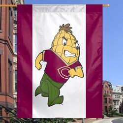 Concordia College Cobbers 11'' x 17'' Wood Sign