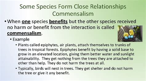 Lesson 5 Species Interactions Ecological Succession And Population