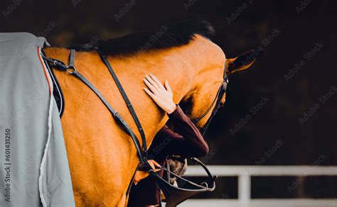 The Female Rider Embracing Bay Race Horse Neck At An Equestrian Event
