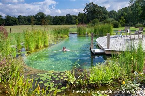 The Swimming Pond Company Ltd