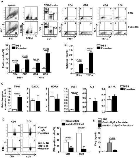 C57bl6 Mice Were Injected Ip With 10 Mgkg Fucoidan And 3 Days