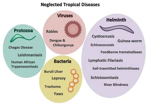 January 30 2021 Will Mark The Second Annual World Neglected Tropical Diseases Ntd Day