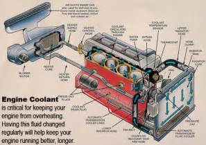 Diagram North Star Engine Coolant System Diagram Mydiagram Online