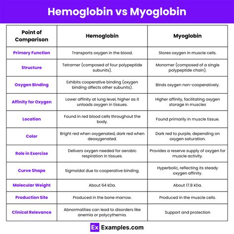 Hemoglobin vs Myoglobin - Difference Explained with Structure & Function