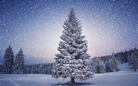 Fondos de Pantalla Estaciones del año Invierno Nieve Naturaleza