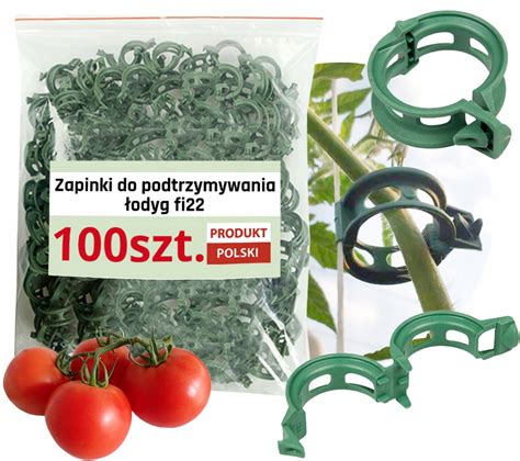 Klips uchwyt zapinka do łodyg pomidora 100 sztuk zapinki klipsy do