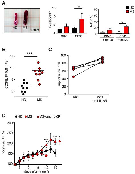 Ijms Free Full Text Interferon Beta Therapy Of Multiple Sclerosis