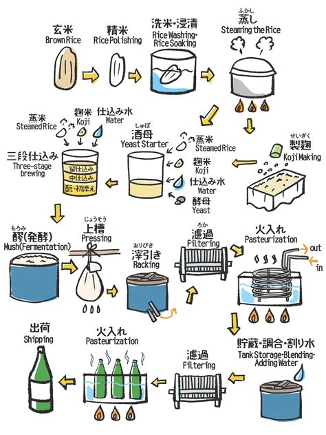 イラストでみる日本酒づくり 日本酒ツーリズム（全国蔵元・銘柄情報）～日本酒を蔵元を旅するポータルサイト