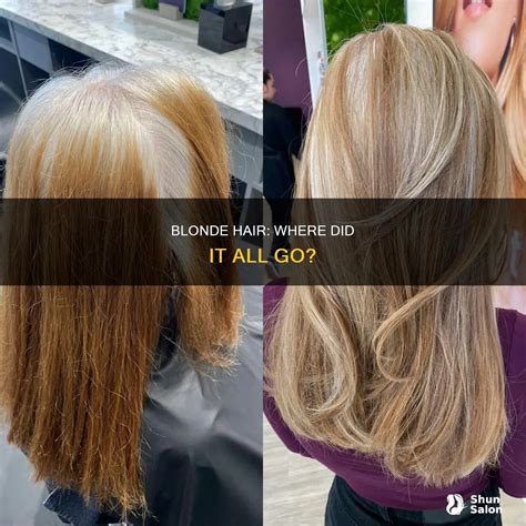 Blonde Hair Where Did It All Go ShunSalon