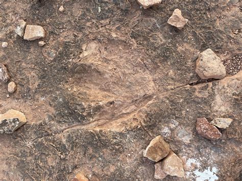 Kanab Dinosaur Tracks - Utah's Adventure Family