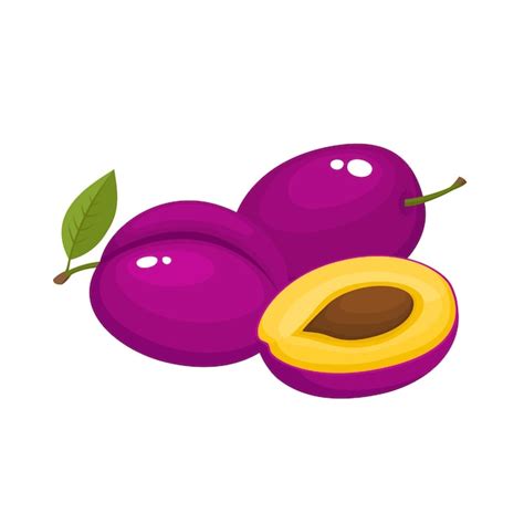 Premium Vector Bright Set Of Colorful Half And Whole Of Juicy Plum