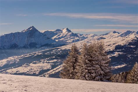 Swiss Alps in Winter · Free Stock Photo