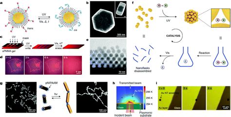 Stimuli Responsive Self Assembly Of Nanoparticles Chemical Society