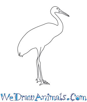 How To Draw A Japanese Crane