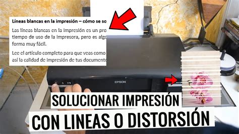 Soluci N Impresiones Con Rayas O L Neas Limpiar Cabezales Epson Youtube