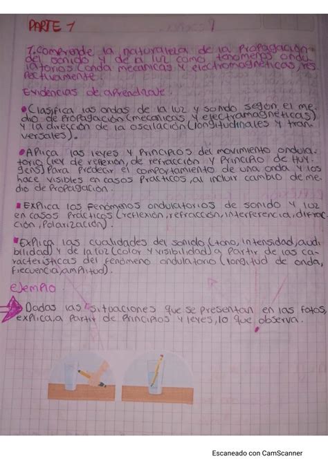 Calam O Sep M Dulo De Biologia