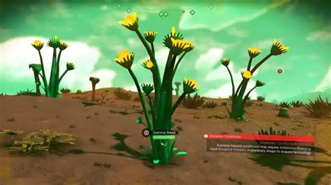 Finding And Farming Gamma Root Ultimate No Man S Sky Guide