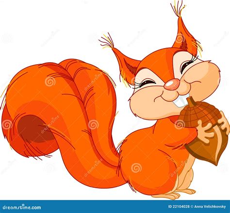 Squirrel With Nut Stock Vector Illustration Of Clip 22104028