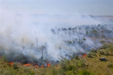 Forest Fire, Smoke Of Surrounding Area. Smoke And Fire Editorial Image - Image of county ...