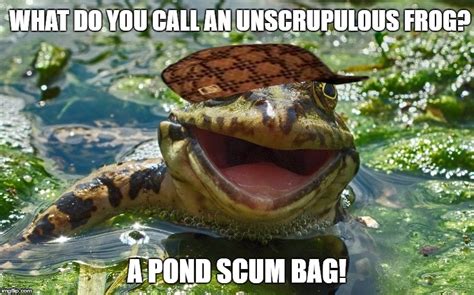 Scum Bag Frogtodaysrealitys Template Imgflip