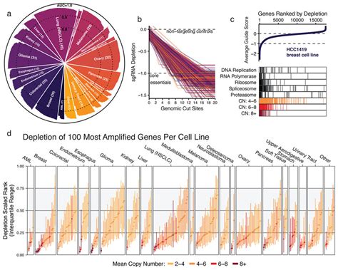 Genomic Copy Number Confounds The Interpretation Of CRISPR Cas9