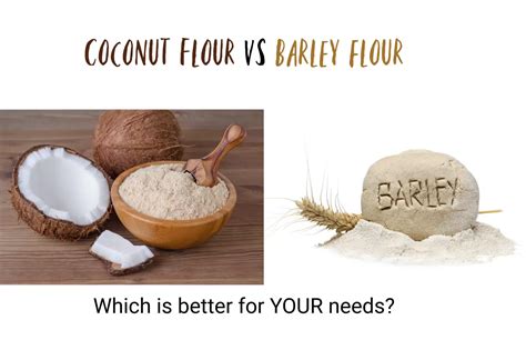 Coconut Flour Vs Barley Flour The Ultimate Verdict The Coconut Mama