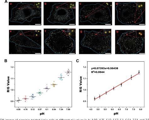 Figure 2 From A Reversible Plasmonic Nanoprobe For Dynamic Imaging Of