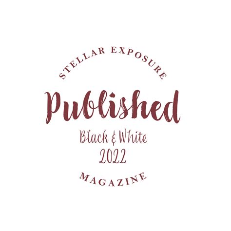 Michigan Wedding Photographer - Natalie Mae Photography