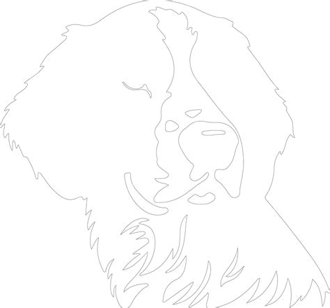 Premium Vector Brittany Spaniel Outline Silhouette White Background