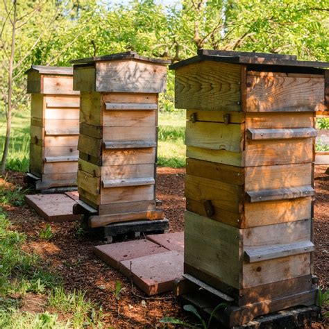 Introduction To Natural Beekeeping With The Warre Hive The Institute