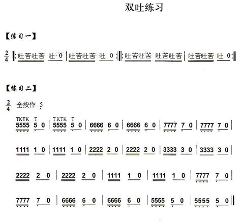 葫芦丝技巧练习之十 多吐音练习 葫芦丝等 葫芦丝谱 简谱