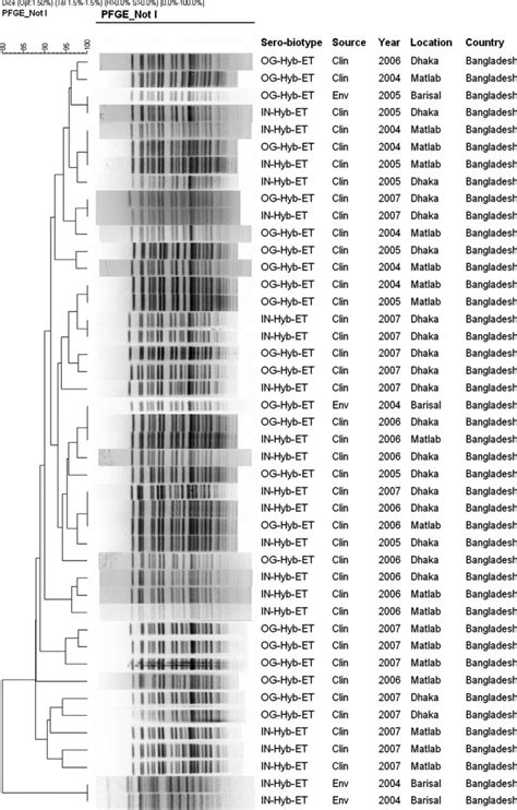 Molecular fingerprinting analysis using pulsed-field gel... | Download ...