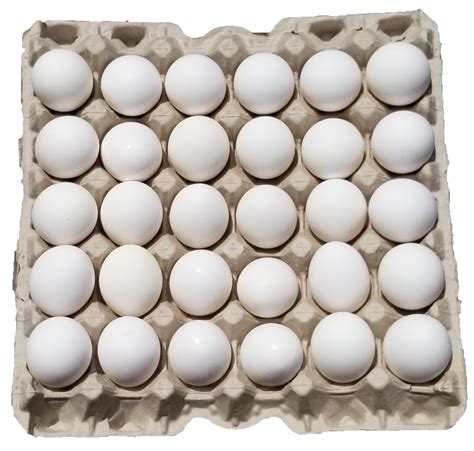 Large White Eggs – Goffle Road Poultry Farm