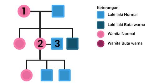 Perhatikan Silsilah Keluarga Berikut Berdas