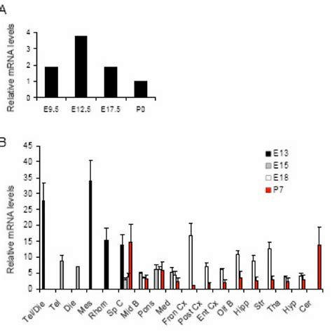 Expression Analysis Of Neil3 During Embryonic Development A Download Scientific Diagram