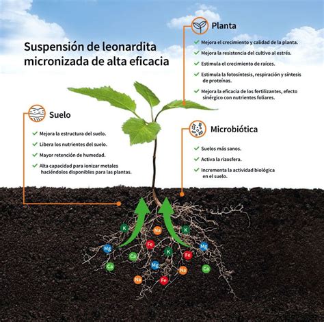 Ecoculture Desarrolla Una Suspensi N De Leonardita Micronizada Que