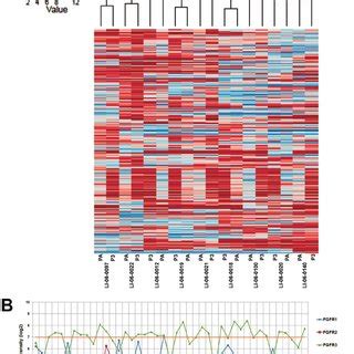 Gene Expression Profiles In The Original Tumors Were Well Maintained In