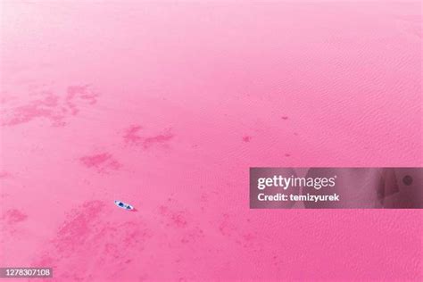 25,921 Pink Lake Stock Photos, High-Res Pictures, and Images - Getty Images