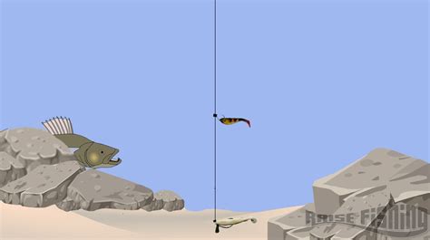 Montage drop shot : comment réaliser ses premiers noeud palomar