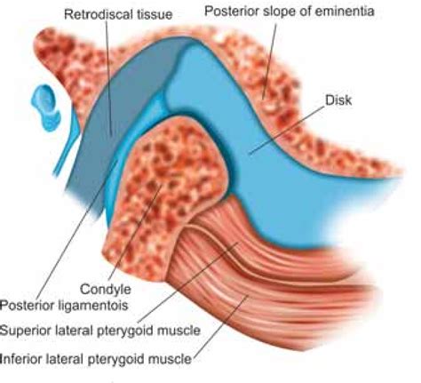 Diagnosis And Treatment Modalities For Temporomandibular Disorders Part I History