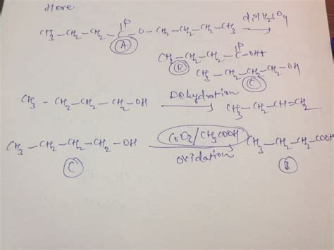 An Organic Compound A Has The Molecular Formula C H G It Gets