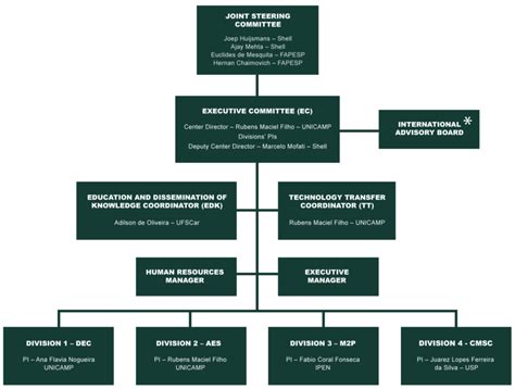Organization Chart Cine