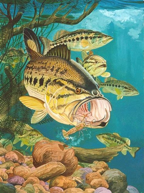 Largemouth Bass Underwater Drawing