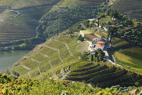 Enoturismo Duas Quintas No Douro Entre As Melhores Do Mundo