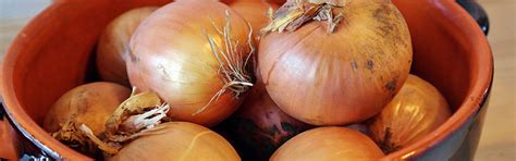 33 tipů na zlepšení erekce pomocí stravy vybíráme potraviny pro lepší sex Erekce Guru