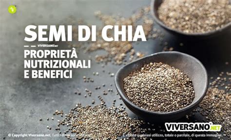 Semi Di Chia Come Usarli In Cucina E Beneficiarne Ogni Giorno