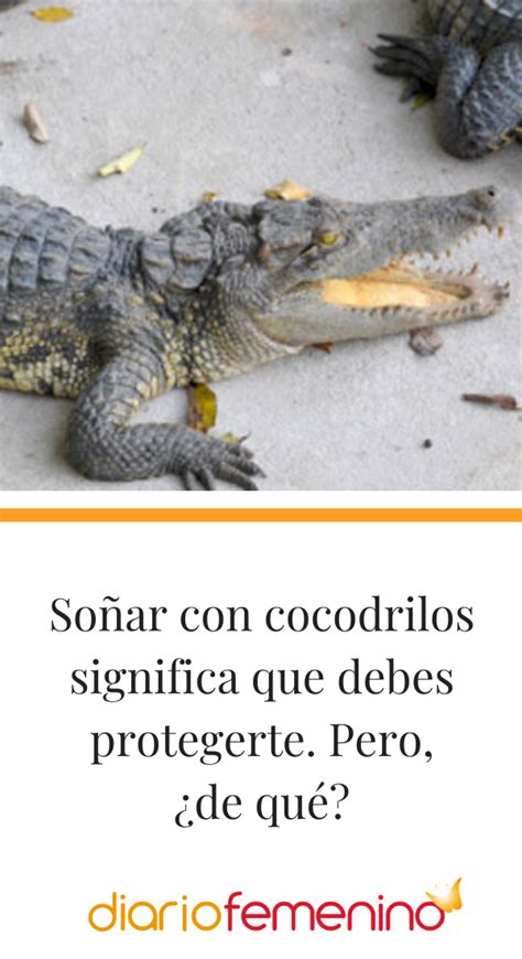 Actualizar Imagen Que Significa So Ar Un Cocodrilo Abzlocal Mx